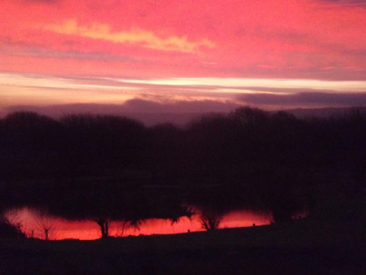 Villa Marsh Water Ponds Fishery Kidwelly Exterior foto