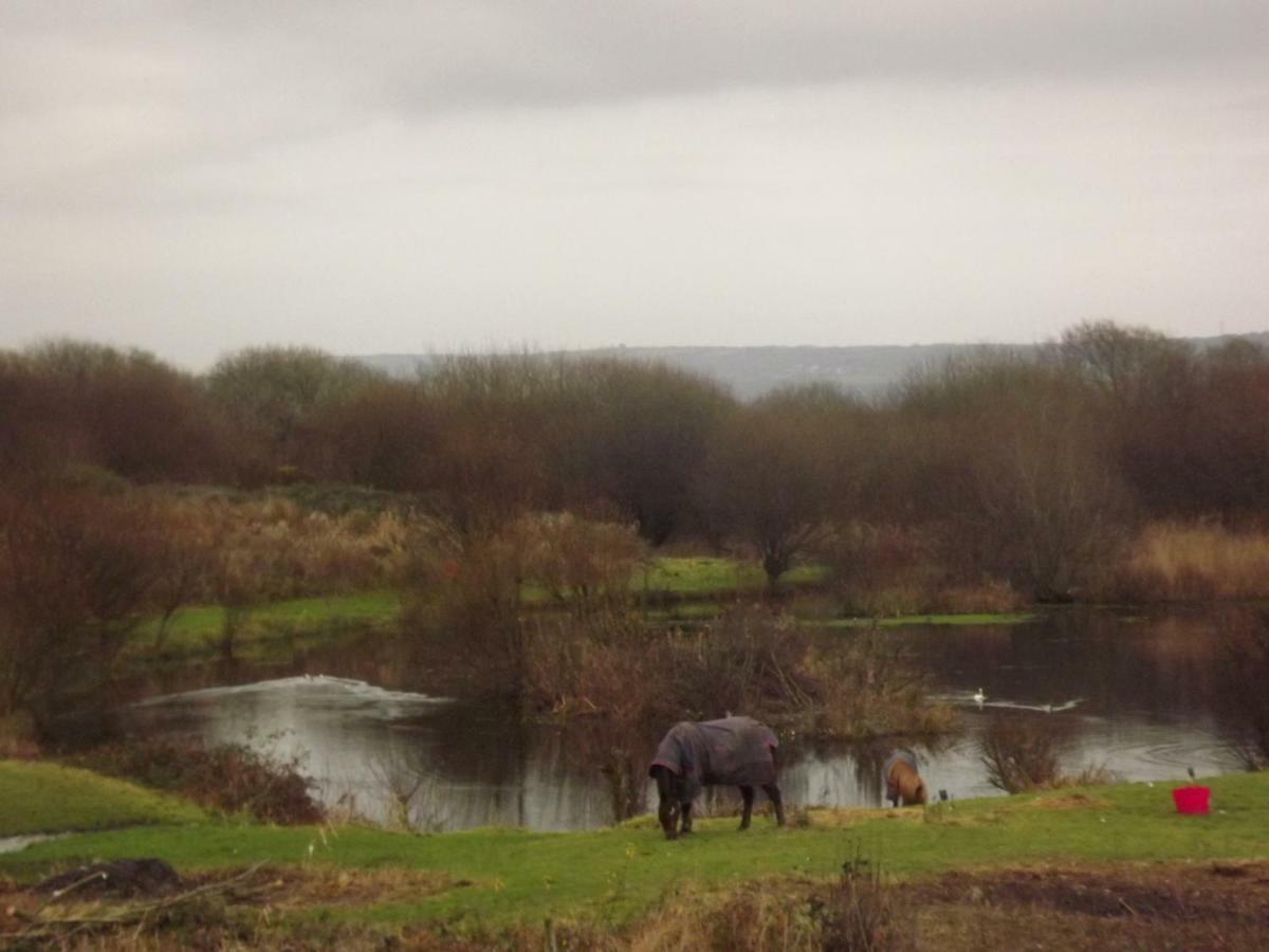Villa Marsh Water Ponds Fishery Kidwelly Exterior foto