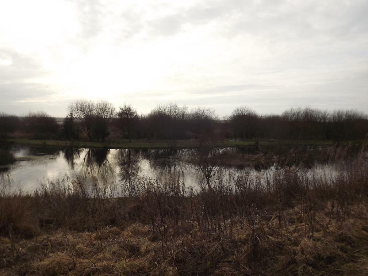 Villa Marsh Water Ponds Fishery Kidwelly Exterior foto